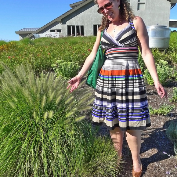 Calvin Klein Multicolor Striped Fit & Flare Pleated Sundress Cotton Stretch Midi - Picture 5 of 16